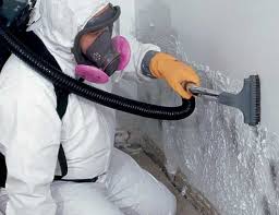 Best Biohazard Mold Removal  in Pumpkin Center, NC